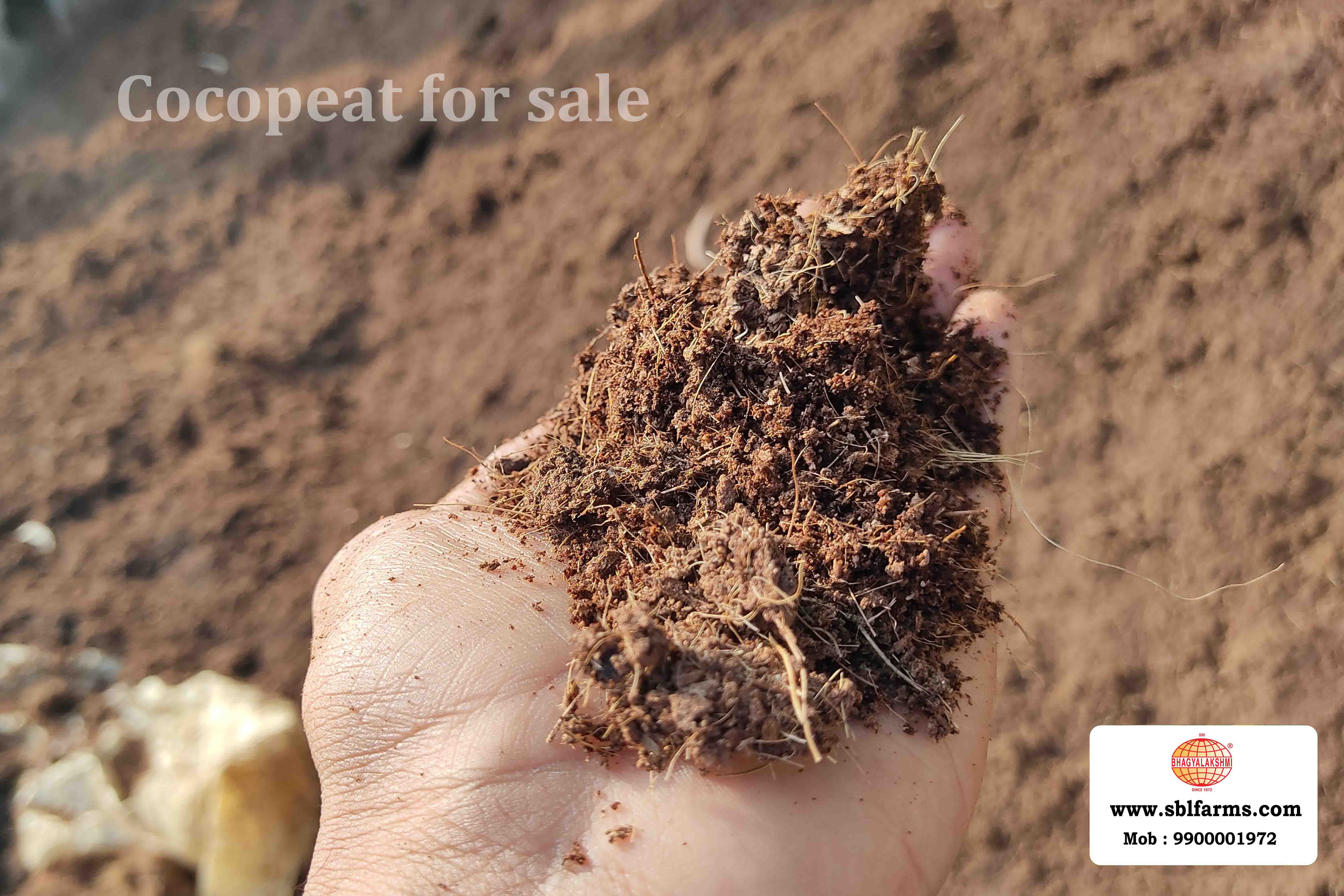 Cocopeat Suppliers in Bangalore | Cocopeat for Sale  |  Cocopeat, Cocopeat manufacturers, suppliers & exporters in Bangalore | Cocopeat for sale in bangalore |  Sri Bhagyalakshmi Farms cocopeat in Bangalore| Cocopeat for plants growth | Cocopeat fertlizer soil for plant | Production of cocopeat | Indias Best cocopeat Producers