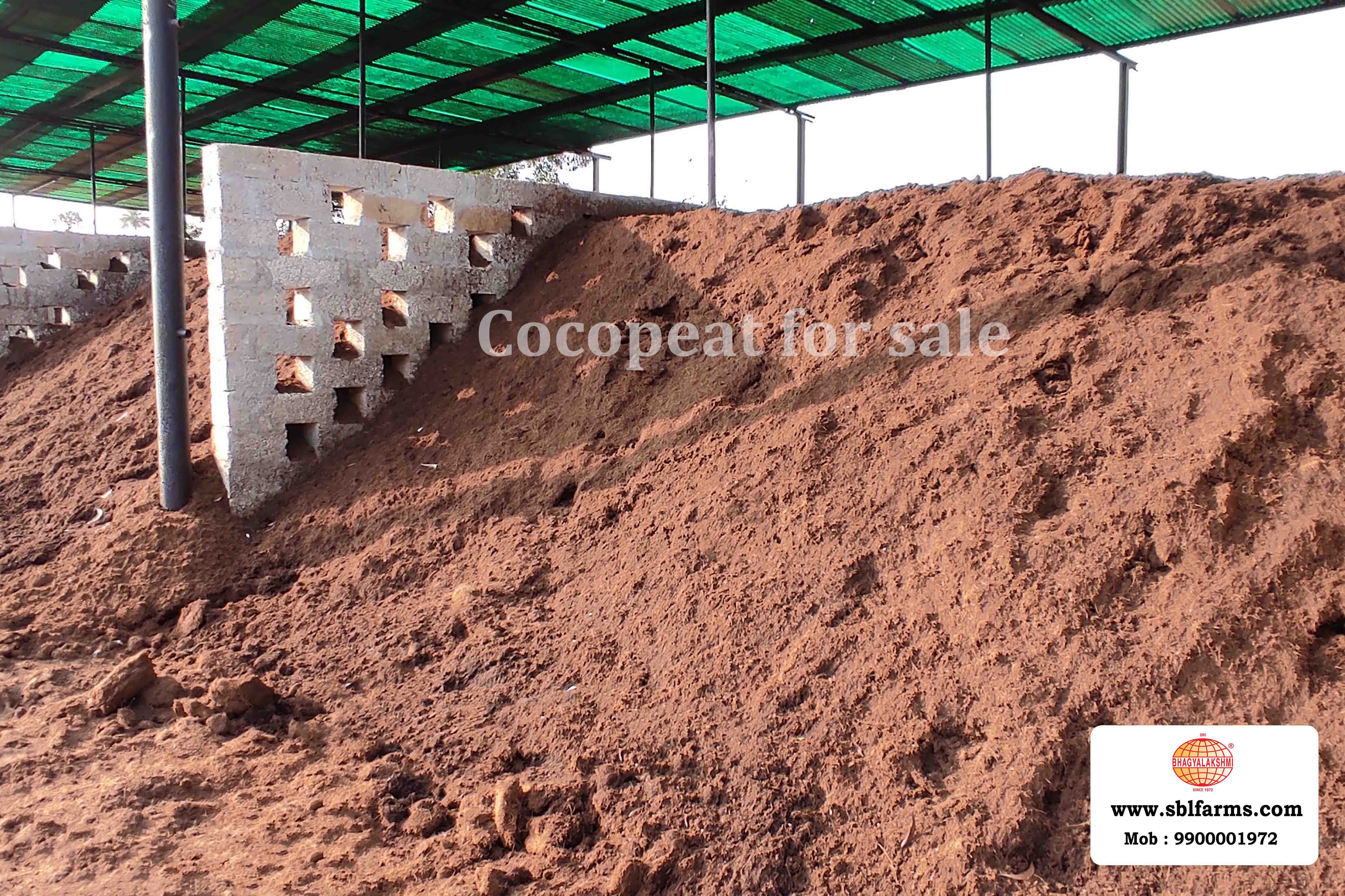 Cocopeat Suppliers in Bangalore | Cocopeat for Sale  |  Cocopeat, Cocopeat manufacturers, suppliers & exporters in Bangalore | Cocopeat for sale in bangalore |  Sri Bhagyalakshmi Farms cocopeat in Bangalore| Cocopeat for plants growth | Cocopeat fertlizer soil for plant | Production of cocopeat | Indias Best cocopeat Producers